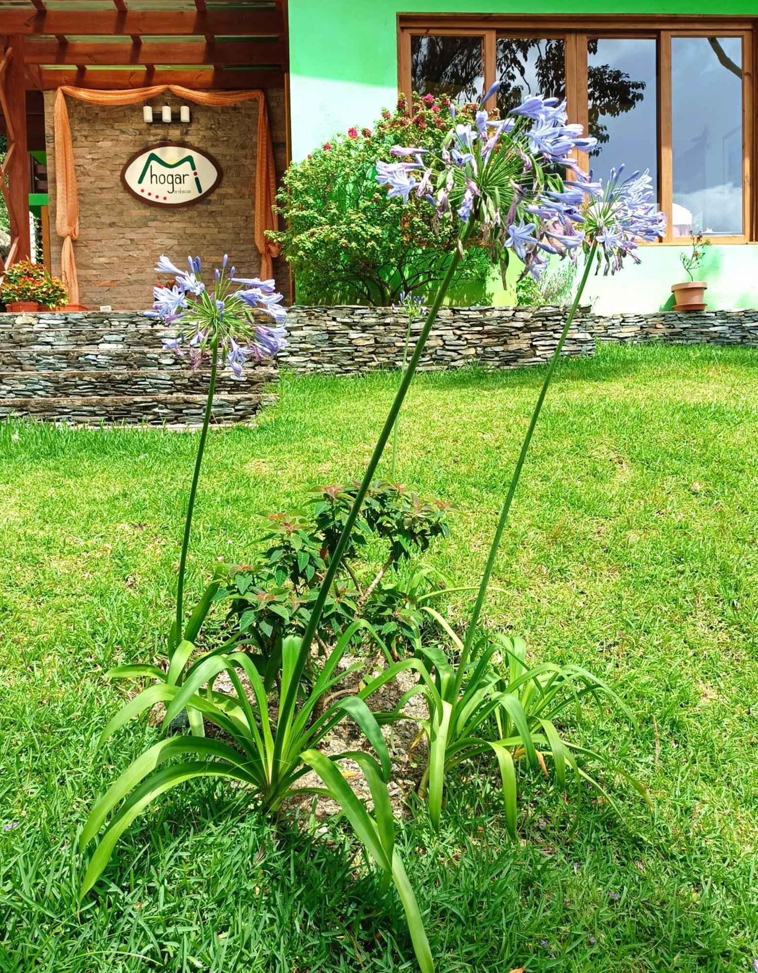 Mi Hogar Jarabacoa Lägenhet Exteriör bild